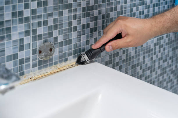 Best Attic Mold Removal  in Schofield, WI