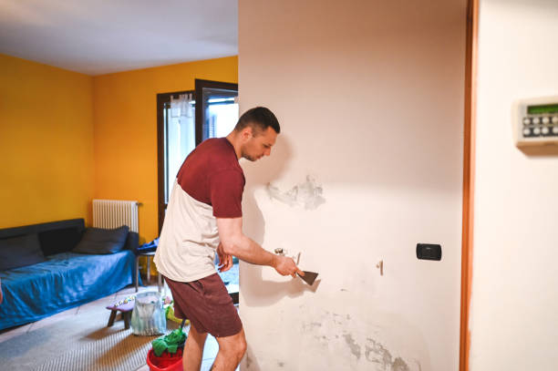 Best Residential Mold Removal  in Schofield, WI